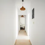 Azula Luxury Apartman Párosz